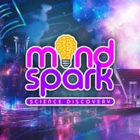 MindSpark